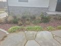 northendplantings  medium 