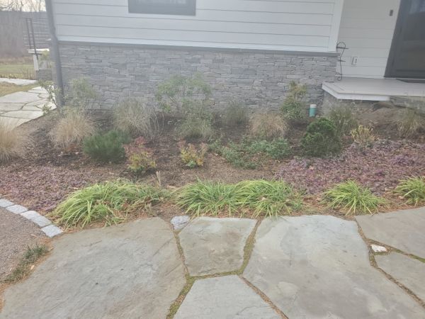 northendplantings  medium 