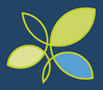 CanadianCouncilonSocialDevelopment